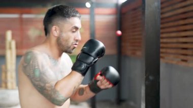 Spor salonunda boks eldiveni giyerek boksör eğitimi almış.