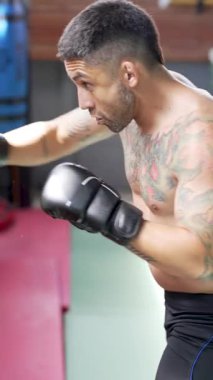 Spor salonunda boks eldiveni giyerek boksör eğitimi almış.