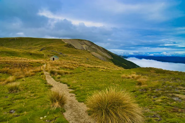 Paddys Track Zum Relax Shelter Nahe Dem Gipfel Des Mount — Stockfoto