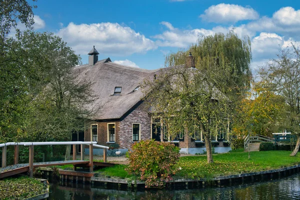 전통적 농장에는 초가지붕 독특하게 있었는데 그것은 지역의 특징이었다 네덜란드 — 스톡 사진