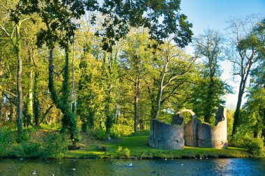 Hollanda, Overijssel 'deki Vollenhove kasabasında uzun ağaçlarla kaplı Toutenburg Ortaçağ şatosunun kalıntıları.