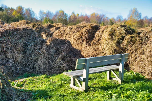 Bench View Pile Hay National Park Weerribben Netherlands Concept Disappointment — Stock Photo, Image
