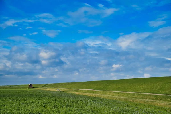 Minimalist Landscape Sky Field Phacelia Seawall Lone Cottage Den Andel — Stock Photo, Image