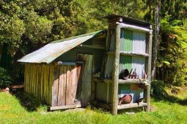 Kahurangi Ulusal Parkı, Karamea, Batı Yakası, Güney Adası, Yeni Zelanda 'nın yağmur ormanlarındaki tarihi Adams Düz Kulübesi.