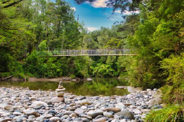 Pororari Nehri üzerindeki yaya köprüsü, Paparoa Ulusal Parkı 'ndaki Pororari Nehri Pisti boyunca, Batı Yakası, Güney Adası, Yeni Zelanda