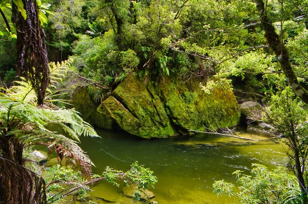 ウェストポートとグリマスの間の峡谷を流れるPororari川 Paparoa国立公園 西海岸 ニュージーランド — ストック写真