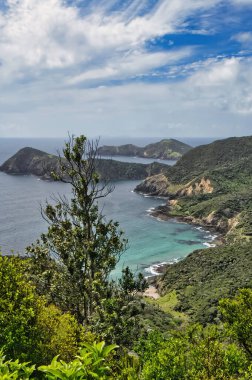 Cape Brett Pisti boyunca sahil manzarası, Brett Yarımadası Burnu 'nda yürüyüş patikası, Kuzey Adası, Yeni Zelanda.