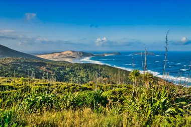 Kuzey Adası, Yeni Zelanda 'nın kuzeyindeki Cape Maria van Diemen' in panoramik manzarası. 