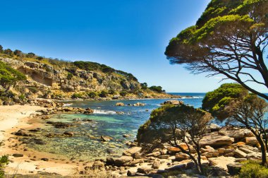 Engellenmiş bitki örtüsü, Cape Naturaliste, Leeuwin-Naturaliste Ulusal Parkı, Margaret River Bölgesi, Batı Avustralya