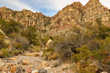 Arroyo (kuru nehir yatağı) Las Vegas, Nevada, ABD 'deki Red Rock Canyon Conservation Area çölünde yükselen kayaların dibinde.
