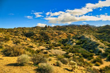 Desert landscape with dry vegetation in the southern foothills of Joshua Tree National park, Mojave Desert, California, USA, in the vicinity of Cottonwood Springs clipart