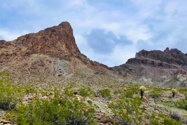 亚利桑那州Oatman附近莫哈韦沙漠黑山的岩石峰和绿色沙漠植被 — 图库照片