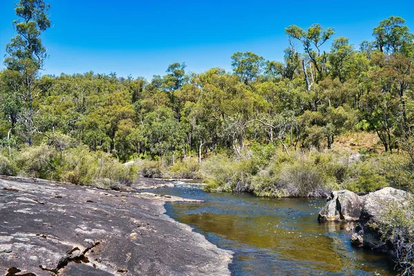 Řeka Collie Národním Parku Wellington Západní Austrálie Tekoucí Hustým Lesem — Stock fotografie