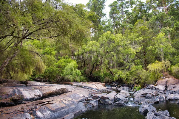 Stream Flowing Bare Rocks Lefroy Brook Karri Forest Gloucester National — Stock Photo, Image