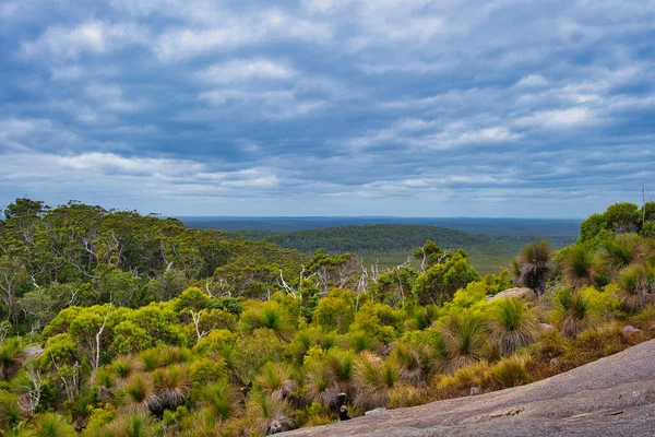 Widok Góry Chudalup Parku Narodowym Entrecasteaux Australia Zachodnia Las Eukaliptusowy — Zdjęcie stockowe