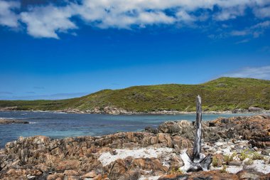 Batı Avustralya 'da Danimarka ve Walpole yakınlarındaki Peaceful Bay' de kayalık sahil ve tepeler Heathland ile kaplıydı. Ön planda büyük bir balina kemiği.
