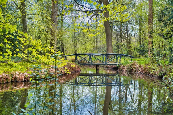 Scène Romantique Parc Avec Étang Pont Bois Pendant Saison Printanière — Photo