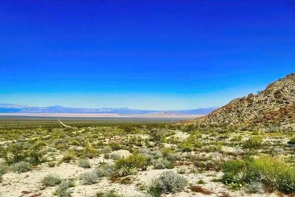 Uitgestrektheid Van Mojave Woestijn Californië Voorjaarstregens Kleurde Woestijn Groen Tussen — Stockfoto