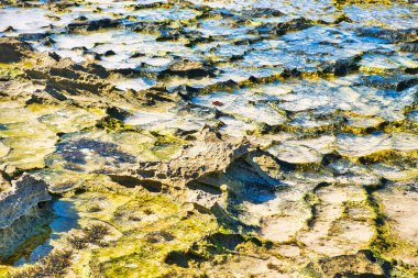 Batı Avustralya 'da bir plajda su, taş, kum ve alglerin soyut deseni