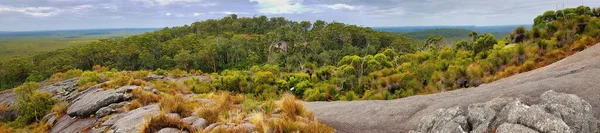Panorama Erodovaných Žulových Hor Hustou Pobřežní Vegetací Žulovými Balvany Nahnědlými — Stock fotografie