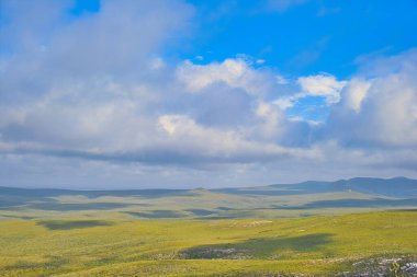 Geniş, soyut ve boş manzaralı tepeler yumuşak yeşil tonlarda ve bulutlu bir gökyüzü. Fitzgerald Nehri Ulusal Parkı, Batı Avustralya, Barren Dağı 'ndan görüldüğü gibi