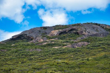 Cape Le Grand Ulusal Parkı, Esperance, Batı Avustralya 'daki sahil şeridi boyunca aşınmış granit kayaları ve kıyı bitkileri.