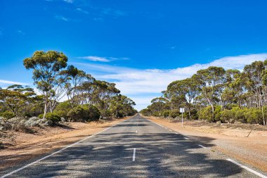 Avustralya kırsalında Esperance ve Norseman arasında düz bir yol var. Batı Avustralya.