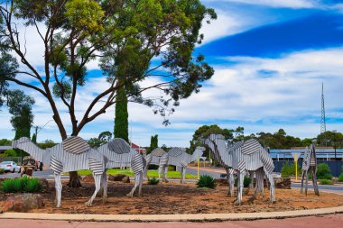 Batı Avustralya, Norseman 'daki Tin Camel Roundabout, Avustralya taşrasında yük taşıyan ilk deve trenlerine bir övgü niteliğindedir..