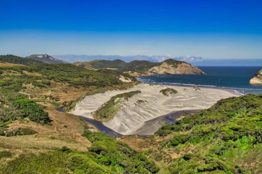 Değişen kum tepeleri, yüksek ormanlık tepeler, dik uçurumlar ve Whariki Sahili 'nin bulunduğu geniş bir körfezin panoramik manzarası. Cape Farewell' in Clifftop Yürüyüşü boyunca. Güney Adası, Yeni Zelanda 'nın en kuzeyindeki nokta.