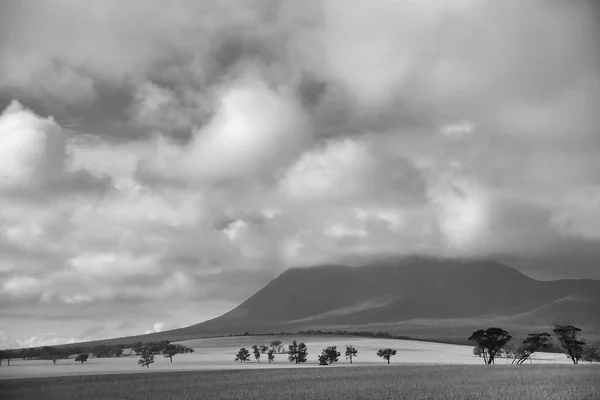 Minimalist black and white landscape with a cloud-covered mountain and silhouettes of trees. Stirling Range, Western Australia