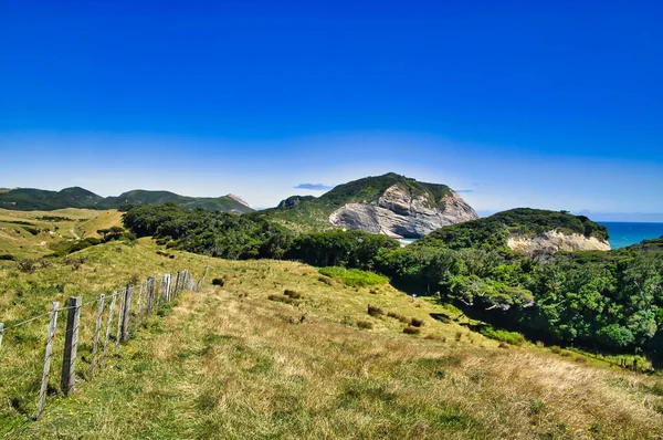 Ackerland Hügel Steile Klippen Und Windgeschützte Wälder Entlang Des Puponga — Stockfoto