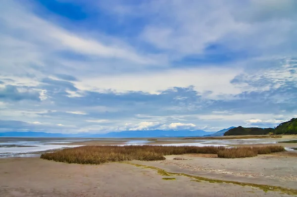 Watt Bei Ebbe Der Küste Des Whanganui Inlet Gebiet Tasman — Stockfoto