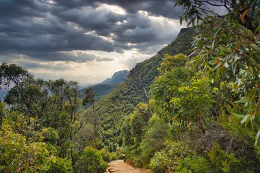 Batı Avustralya 'daki Stirling Range Ulusal Parkı' ndaki dik Bluff Knoll Hiking Patikası 'ndan görüntü. Yerli bitki örtüsü ve Range 'ın çeşitli zirveleri kara bulutların altında..