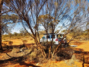 Avustralya kırsalının kuru, kızıl çölünde, gün batımında bir çalılığın gölgesine park edilmiş küçük bir eğlence aracı.