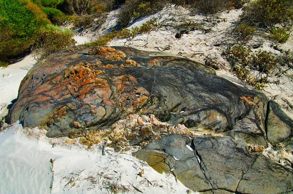 澳大利亚西部菲茨杰拉德河国家公园侵蚀岩石上矿物和苔藓的文摘型 — 图库照片