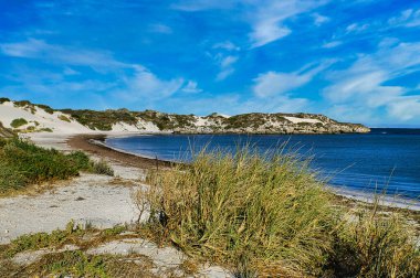 Batı Avustralya 'nın orta batı kıyısı boyunca uzanan huzurlu mavi Jurien Körfezi' ndeki kum manzarası. Önplanda kum örtüsü