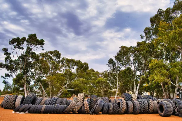 Rows of used truck- and tractor tires in an Australian junkyard, eucalyptus trees in the background, Wongan Hills, Western Australia