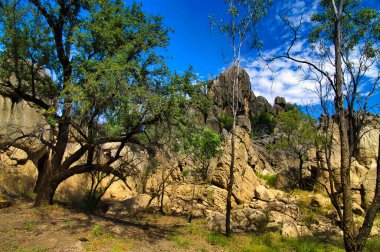 Kuzeybatı Avustralya 'nın engebeli kırsalında yüksek kireçtaşı kayaları ve uzun bir ağaç, Kimberley' deki Napier Sıradağları 'ndaki Danggu Geikie Vadisi Ulusal Parkı.. 