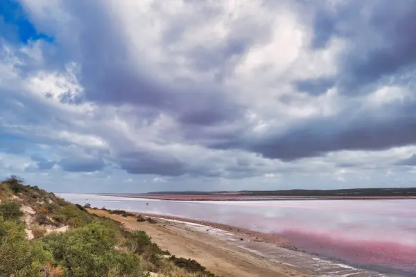 The shore and beach of the extremely salty Pink Lake (Hutt Lagoon) near Port Gregory, Kalbarri, Coral Coast, Western Australia on a cloudy summer day