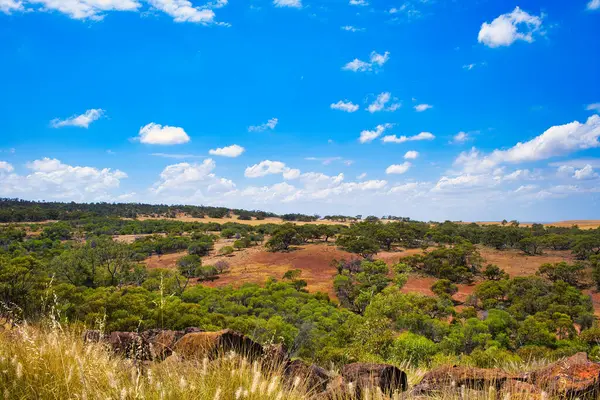 Batı Avustralya Buğday Kuşağı ile taşra arasındaki geçiş bölgesinin karakteristik manzarası. Daha Büyük Geraldton Bölgesi 