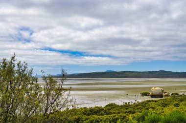 Mudflats with tiny mangroves at the coast of Millers Landing, Wilsons Promontory National Park, Victoria, Australia. Hazy clouds, high hills in the background clipart