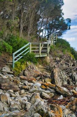 Conran Burnu boyunca tahta merdivenler ve sahil yolu boyunca Conran Burnu kıyıları, Gippsland, Victoria, Avustralya