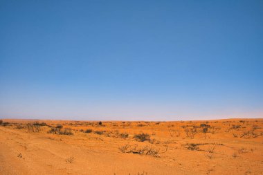Batı Avustralya kırsalında, Exmouth ve Coral Bay arasındaki çorak toprak, kırmızı toprak ve ölü çalılıklar.. 