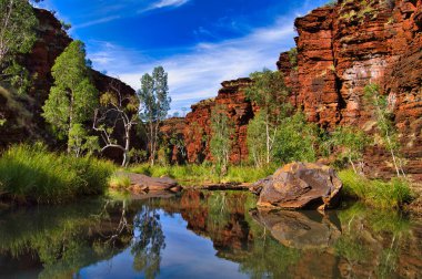 Red rocks and green trees reflecting in the clear water of a pool in the Kalamina Gorge, Karijini National Park, Western Australia clipart