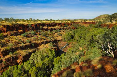 Batı Avustralya 'daki Karijini Ulusal Parkı' nın savan manzarasının demir zengini kırmızı kayalarına oyulmuş muhteşem Dales Boğazı manzarası.