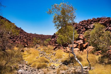 Batı Avustralya 'nın en önemli yerlerinden biri olan Ngajarli (Derin Vadi), Murujuga Ulusal Parkı, Burrup Yarımadası, Karratha' dır.