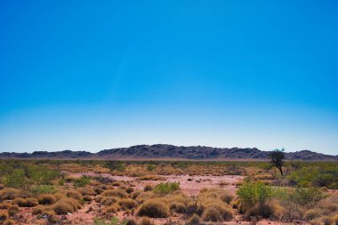 Batı Avustralya 'nın ücra kırsalındaki Parry Range, Pilbara, Ashburton Shire ovasının eteklerindeki alçak çalılarla Hummock otlakları (spinifex) kaplar.
