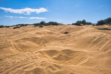 Sahilde ve kum tepelerinde yumurtalarını buraya bırakan deniz kaplumbağaları tarafından kazılmış düzinelerce çukur var. Jurabi Sahil Parkı, Ningaloo Sahili, Exmouth, Batı Avustralya