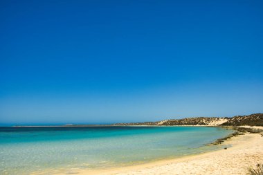 Batı Avustralya 'nın Coral Sahili' ndeki Coral Bay tatil beldesindeki hilal tropikal plajı. Şnorkelle yüzmek için popüler bir yer.