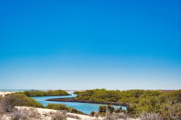 stock image Little Lagoon Creek, the connection between the Indian Ocean and Little Lagoon, close to Denham on Peron Peninsula, Western Australia, winds through mangrove forest an sand dunes